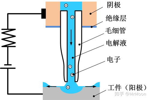 如何在论文中画出漂亮的插图